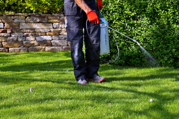 Best Pest Control for Multi-Family Homes  in USA